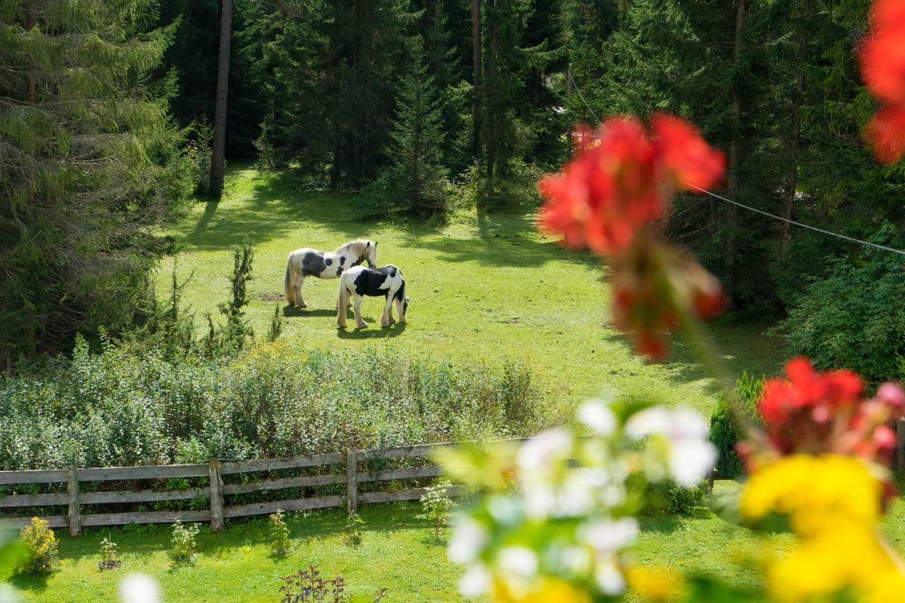 Ferienhaus Tannenblick Leutasch Eksteriør bilde